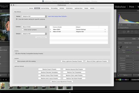 Lightroom Preferences Window - Raw Defaults Section