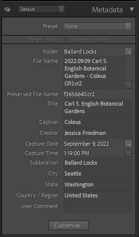 Lightroom Classic Metadata panel with preset options