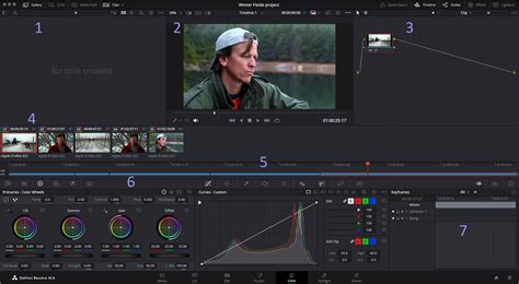 Close-up of DaVinci Resolve's Color page with LUT options