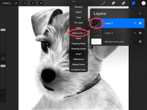 Procreate Layers Panel with Alpha Lock enabled