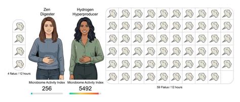 Infographic showing the different categories of participants in the Human Flatus Atlas study: Zen Digesters, Hydrogen Hyperproducers, and Normal People.