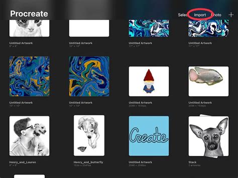 Procreate import options