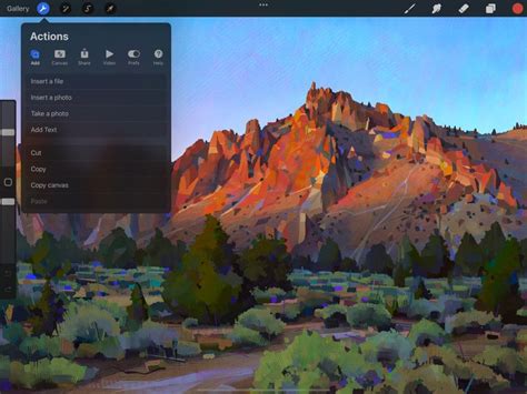 Procreate text tool interface