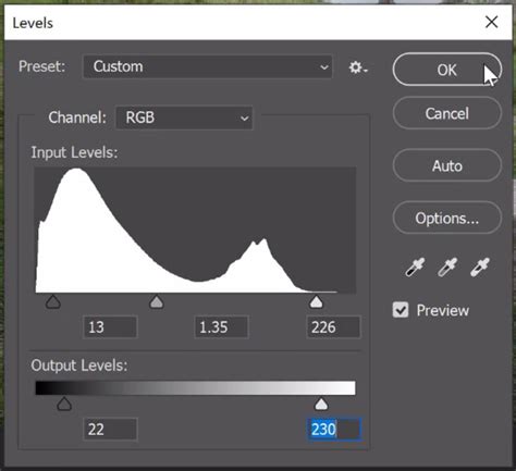 Photoshop Levels adjustment layer sliders