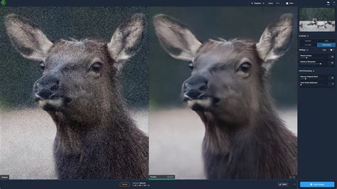 Comparison of footage with and without noise reduction