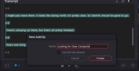 DaVinci Resolve transcription window showing highlighted text and timeline