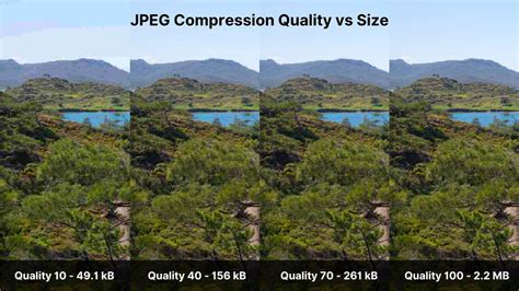 Example of a JPEG image with varying compression levels