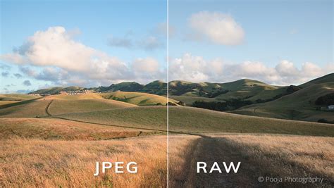 Comparison of RAW vs JPEG image data