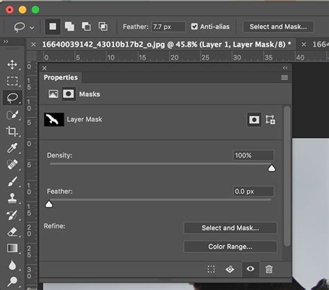 Photoshop Select and Mask workspace interface