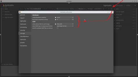 Darktable preferences window showing scene-referred (agx) workflow selection