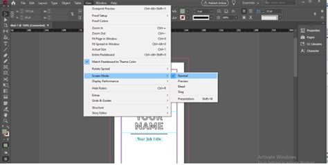 InDesign Document Setup dialog box with Preview enabled