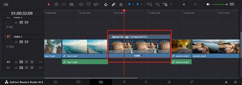 DaVinci Resolve Retime Controls interface