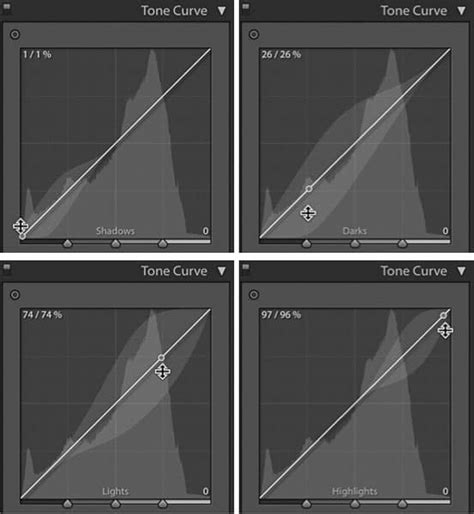 Lightroom Develop Module Tone Curve Panel