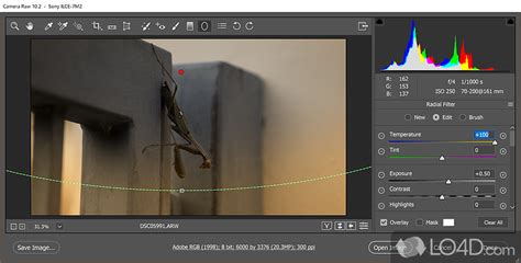 Screenshot of Adobe Camera Raw interface