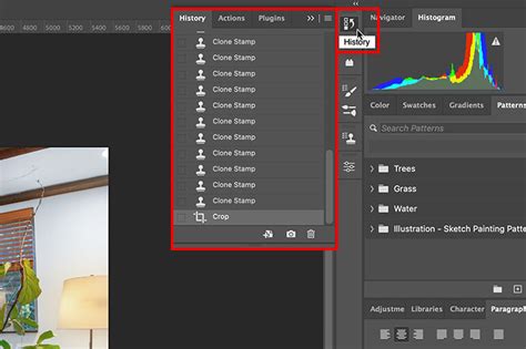 Photoshop History Panel showing initial snapshot