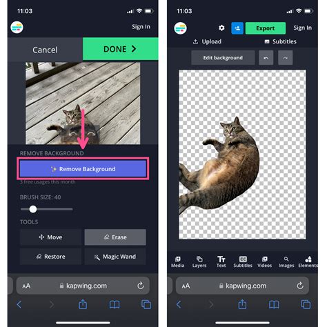 Kapwing interface showing the 
