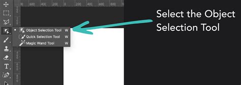 Screenshot showcasing Photoshop's Object Selection Tool in action