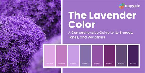 Color wheel showing lavender between violet and red