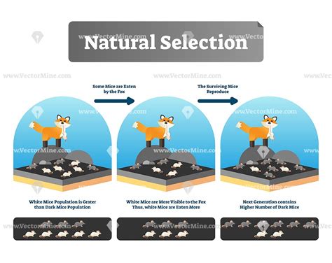 Visual representation of a selection saved as an Alpha channel