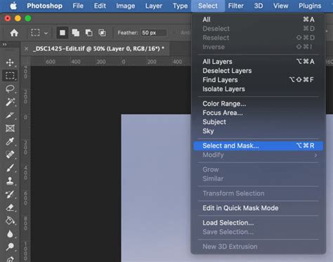 Photoshop's Select and Mask workspace interface