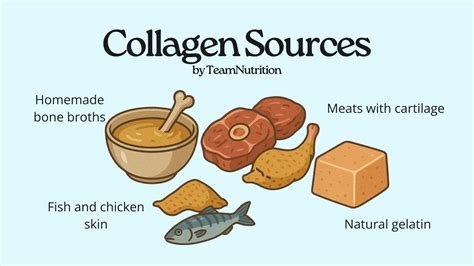 Infographic showing various sources of collagen: fish, chicken, bone broth, supplements