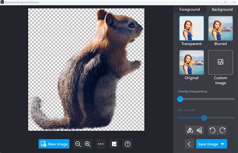 Example of background replacement in Ashampoo Background Remover