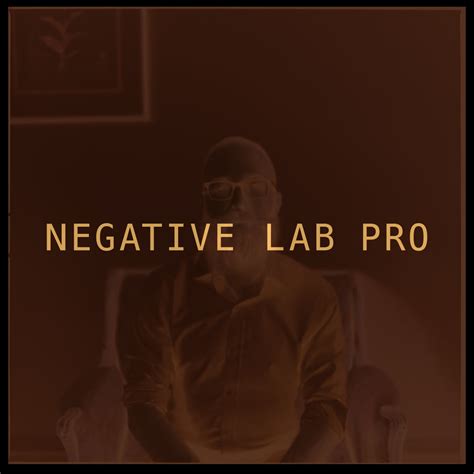 Lightroom interface with Negative Lab Pro plugin panel