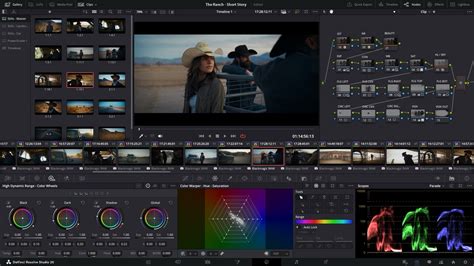 DaVinci Resolve Studio interface