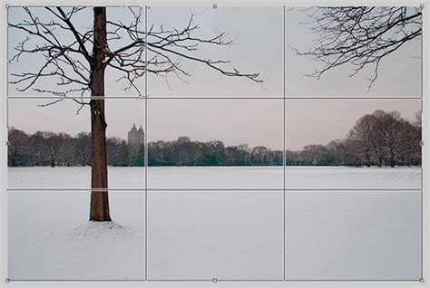 Image showing the Rule of Thirds grid overlay in Photoshop's Crop Tool