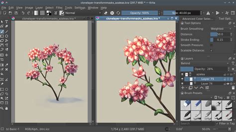 Krita Crop Tool Interface