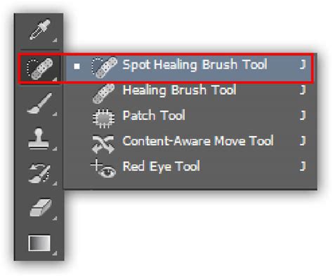 Screenshot of the Heal Brush tool in Photoshop Express