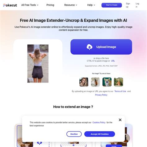 Pokecut interface showing image upload and processing