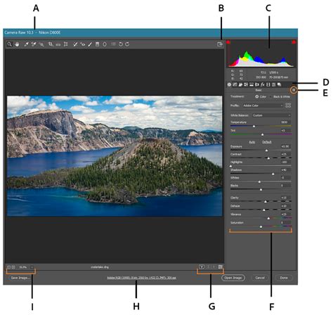 Photoshop Camera Raw dialog with Shift key pressed