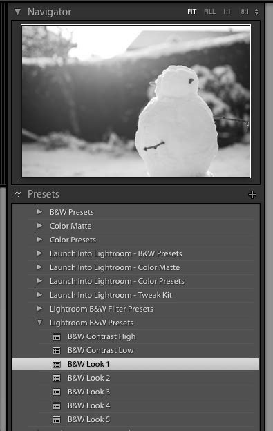 Lightroom Navigator panel showing preset folders and individual presets