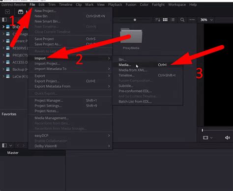 DaVinci Resolve Optimized Media and Proxy Media settings