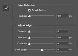Close-up of hair selection in Photoshop with Smart Radius applied