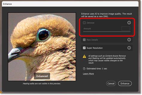 Screenshot of Photoshop's Enhance Preview dialog with Super Resolution option selected