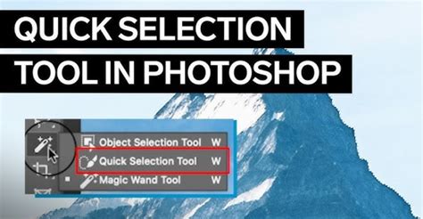 Quick Selection Tool isolating a subject