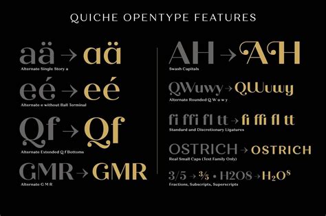 OpenType font features in InDesign