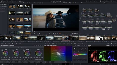 DaVinci Resolve Edit tab with visible audio waveforms