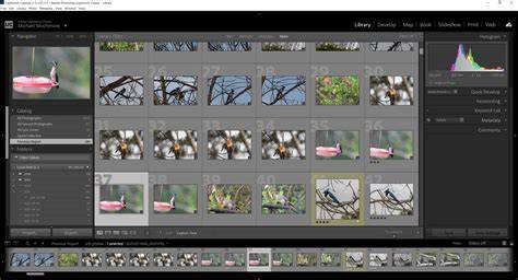 Lightroom Classic interface with import and library modules visible