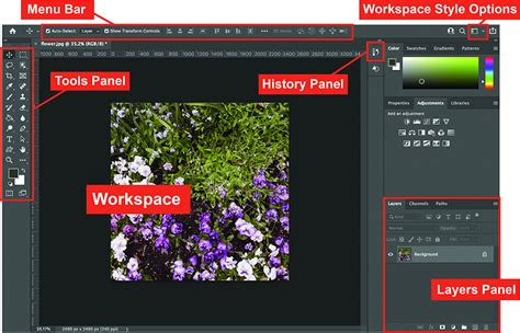 Photoshop workspace with Brush tool selected
