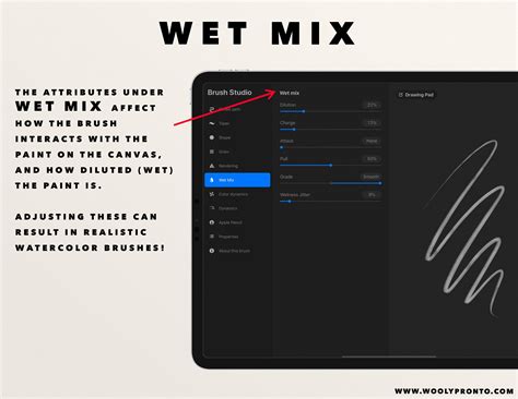 Procreate Wet Mix settings example