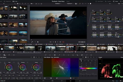 Infographic showcasing the diverse features of DaVinci Resolve