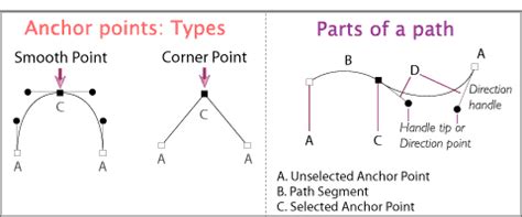 Diagram showing anchor points, path segments, and direction handles