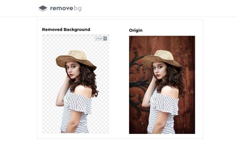User interface of an online background remover tool