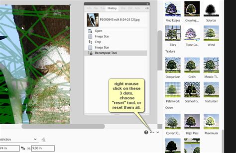 Demonstration of the Recompose tool in Photoshop Elements