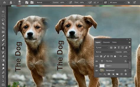 Photoshop Clone Stamp Tool example
