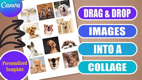 Drag and drop photo into collage cell