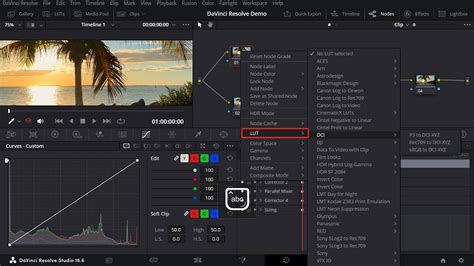 DaVinci Resolve Gallery and LUTs Workspace